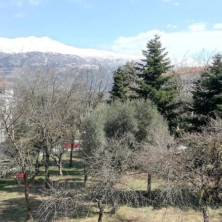 Gks Park View Lejlighed Ioannina Eksteriør billede