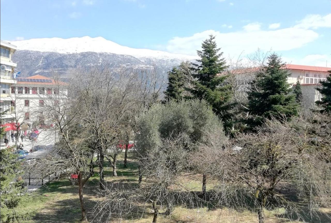 Gks Park View Lejlighed Ioannina Eksteriør billede